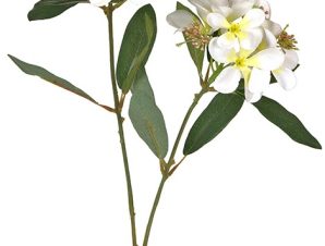 Διακοσμητικό κλαρί με άνθη πικροδάφνης