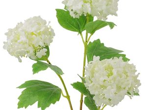 Λευκά Snowball x3 άνθη