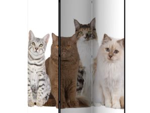 Διαχωριστικό με 3 τμήματα – Sweet Cats [Room Dividers] 135×172