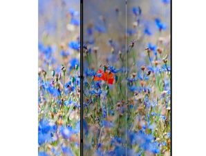 Διαχωριστικό με 3 τμήματα – A sky-colored meadow – cornflowers [Room Dividers]