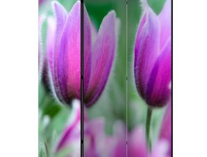 Διαχωριστικό με 3 τμήματα – Purple spring tulips [Room Dividers]