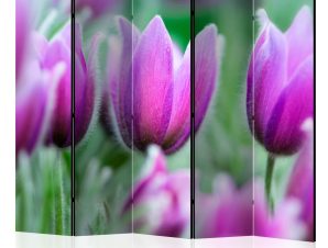 Διαχωριστικό με 5 τμήματα – Purple spring tulips II [Room Dividers]