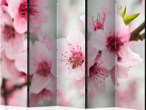 Διαχωριστικό με 5 τμήματα – Spring, blooming tree – pink flowers II [Room Dividers]
