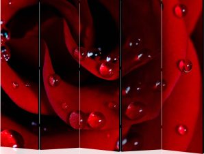 Διαχωριστικό με 5 τμήματα – Red rose with water drops II [Room Dividers]