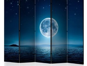 Διαχωριστικό με 5 τμήματα – Moonlit night II [Room Dividers]