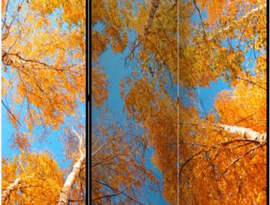 Διαχωριστικό με 3 τμήματα – Autumnal treetops [Room Dividers]