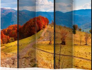 Διαχωριστικό με 5 τμήματα – Autumn landscape in the Carpathian mountains II [Room Dividers]