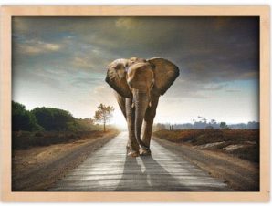 Ελέφαντας που περπατάει Ζώα Πίνακες σε καμβά 30 x 20 εκ.