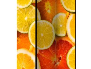 Διαχωριστικό με 3 τμήματα – Citrus fruits [Room Dividers]