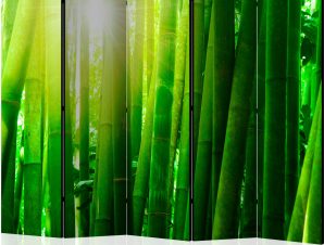 Διαχωριστικό με 5 τμήματα – Sun and bamboo II [Room Dividers]